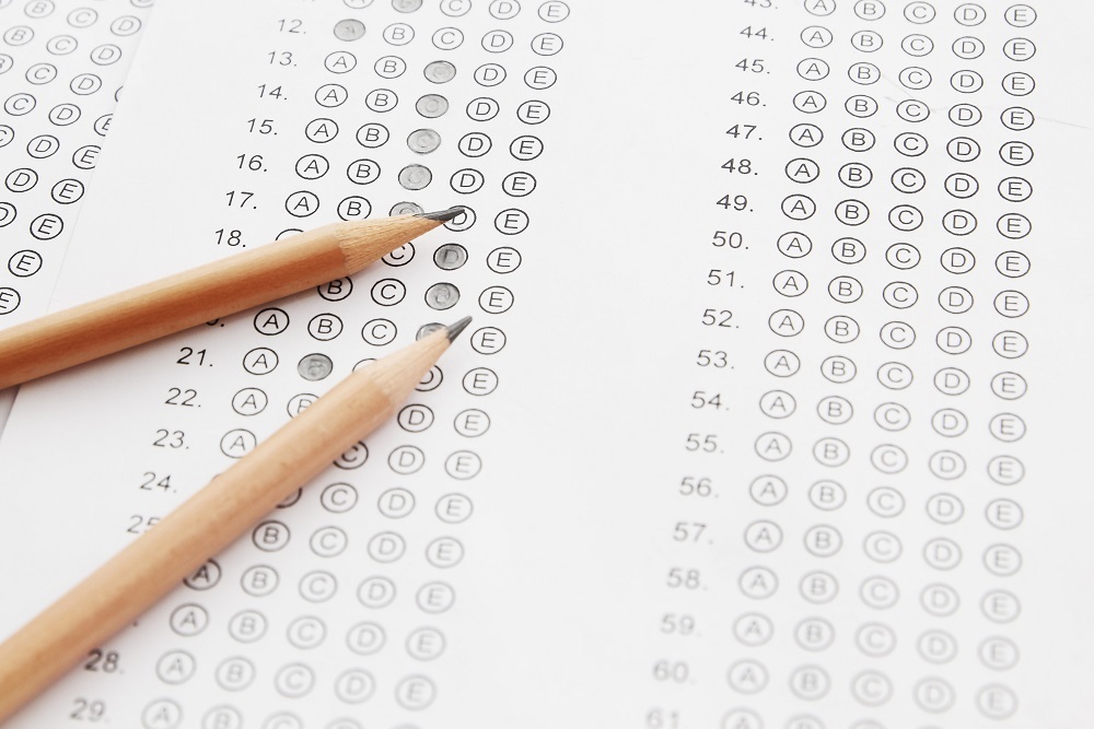 Statewide test results: 65 percent of Tioga failed English language arts