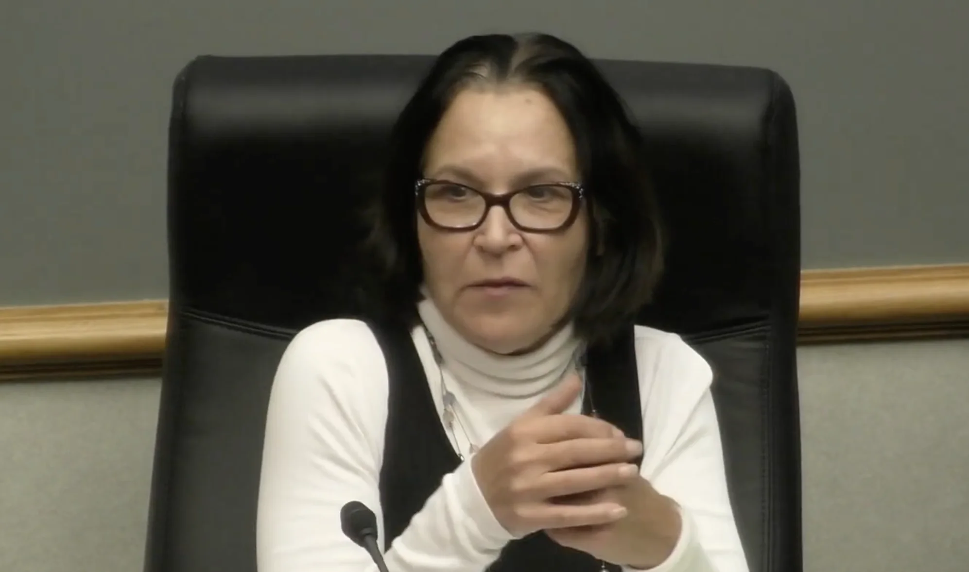 Westmont Trustee and 45th House candidate Gina Parrilli cast the lone “no” vote on the 2026 property tax levy, citing Illinois’ high tax burden and impact on residents.