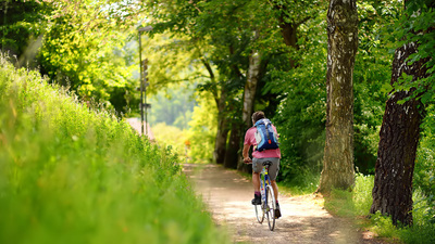 Medium bikepath web