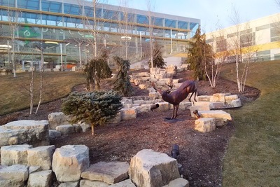 Medium college of dupage(1000)