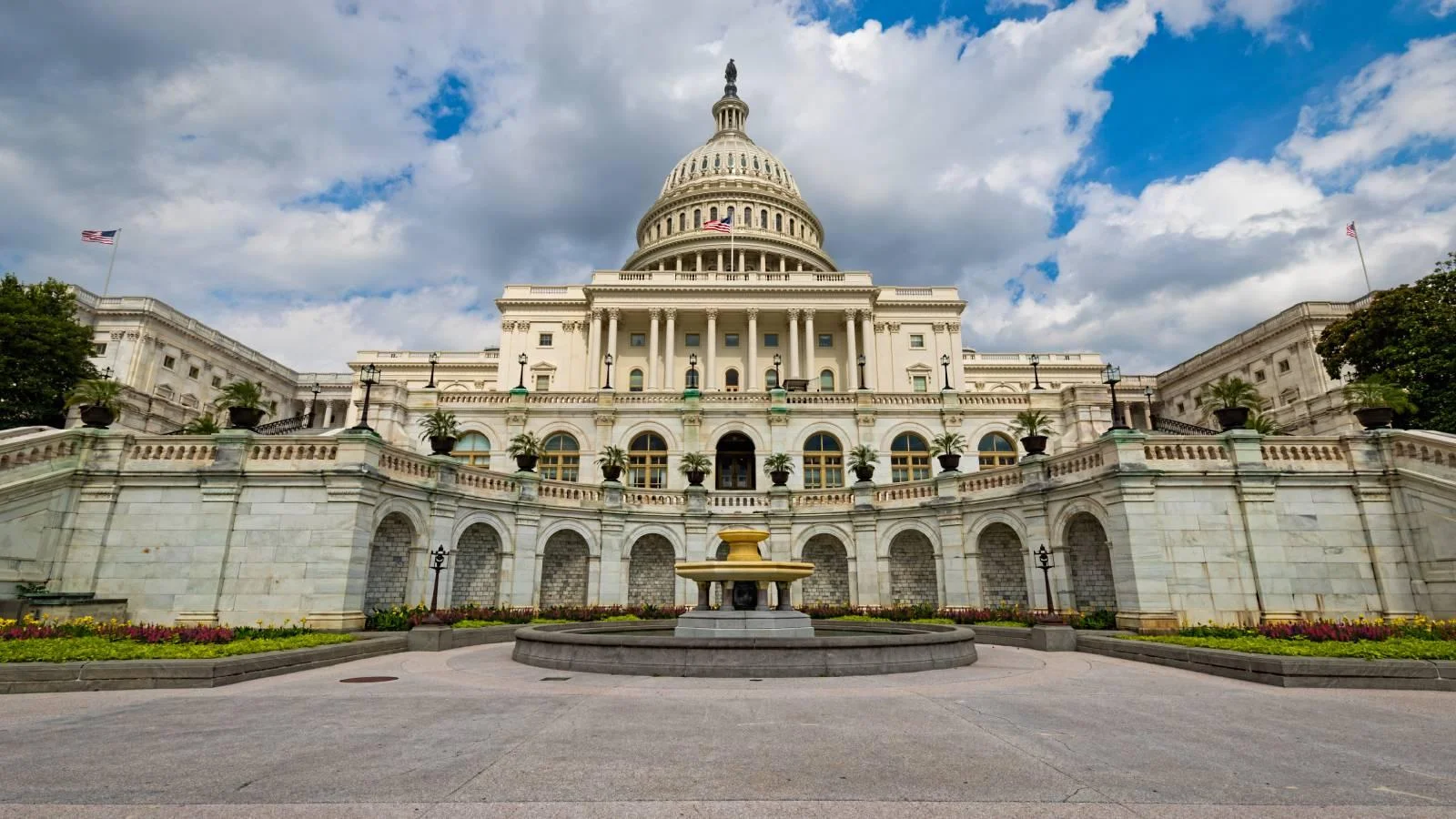 Webp politics 2015 20edited