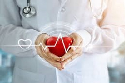 Medium heart