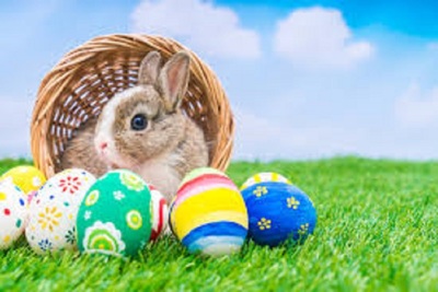 Medium egghuntbunny