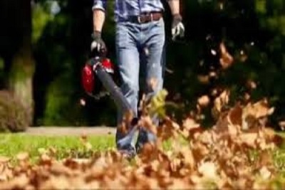 Medium leafpickup