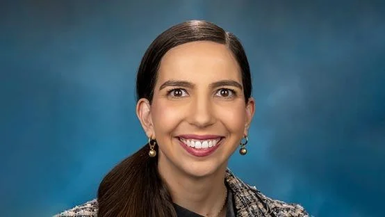 Anne Stava-Murray, Illinois State Representative for the 81st District