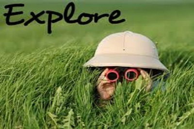 Medium explore