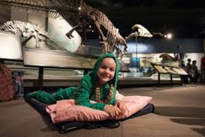 Medium nightatmuseum