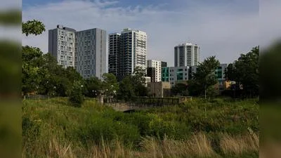 Medium tl8filqbq8odzox7us75sqtgxhaw