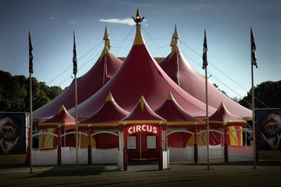 Medium 3 circus tent 8x12