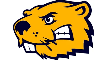 Waubonsie Valley alum Dylan Johnson’s college baseball team falls to Rhodes Lynx