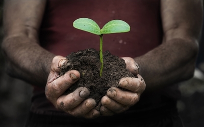 Medium soil conservation