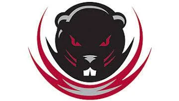 UMass Boston Beacons take 22-16 win over MIT Engineers featuring Lyons Township alum Joey Severson
