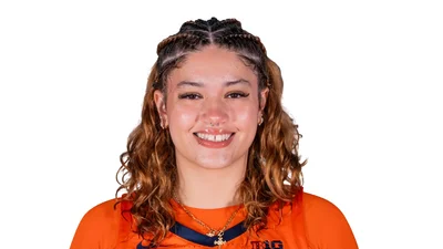 Medium manuellaalves