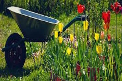 Medium springcleanup
