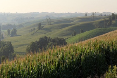 Medium bnr 8481150806105400