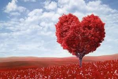 Medium heartv