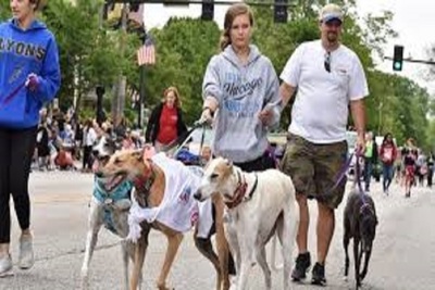 Medium petparade