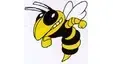 Hinsdale South to host Glenbard South in varsity baseball matchup Tuesday
