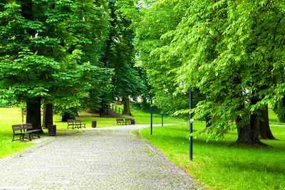 Medium park 02