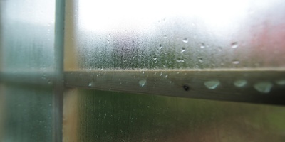 Medium windows