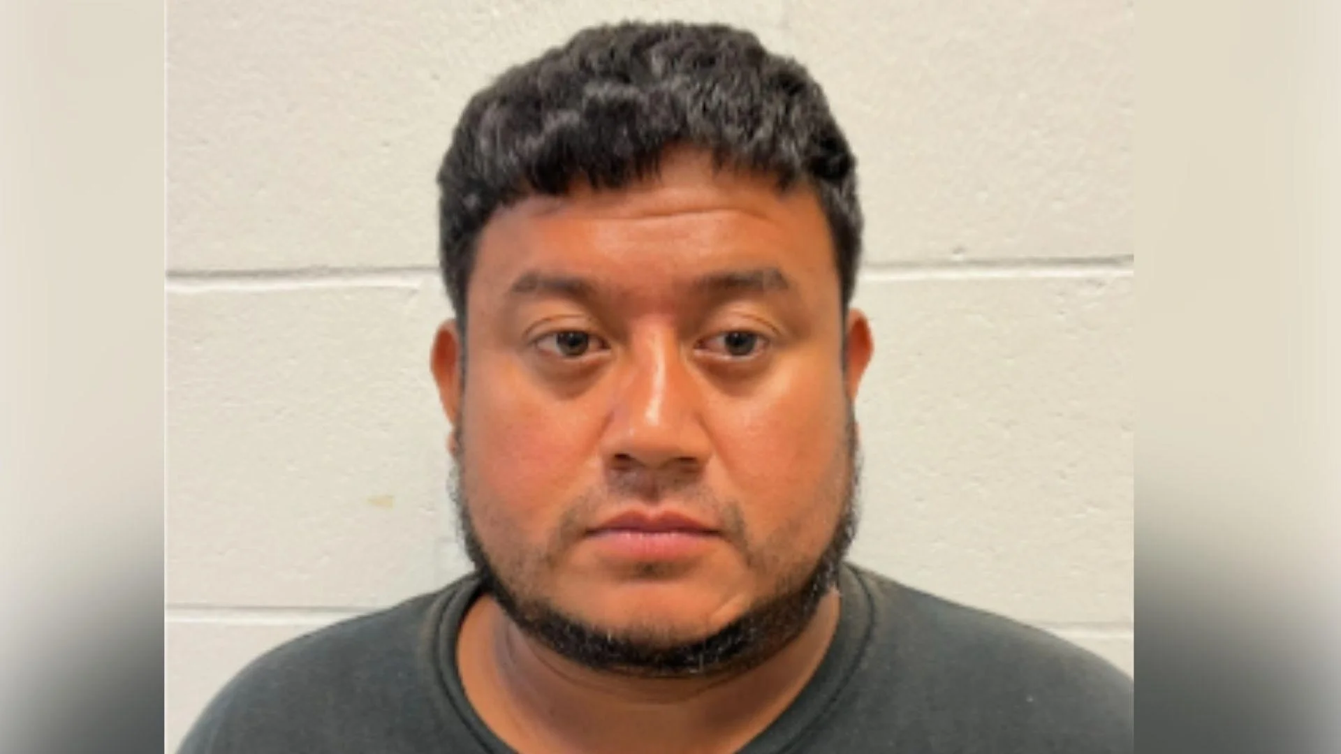 IL Illegal Alien Arrest Series: El Salvadoran rapist, fraudster arrested by ICE in Chicago