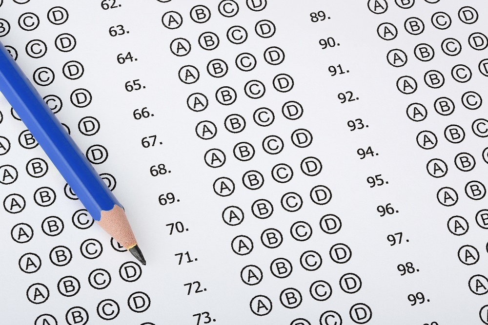 Statewide test results: 31 percent of Wiesbrook failed English language arts