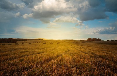 Medium farm